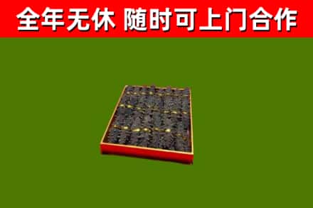 彭山区回收海参